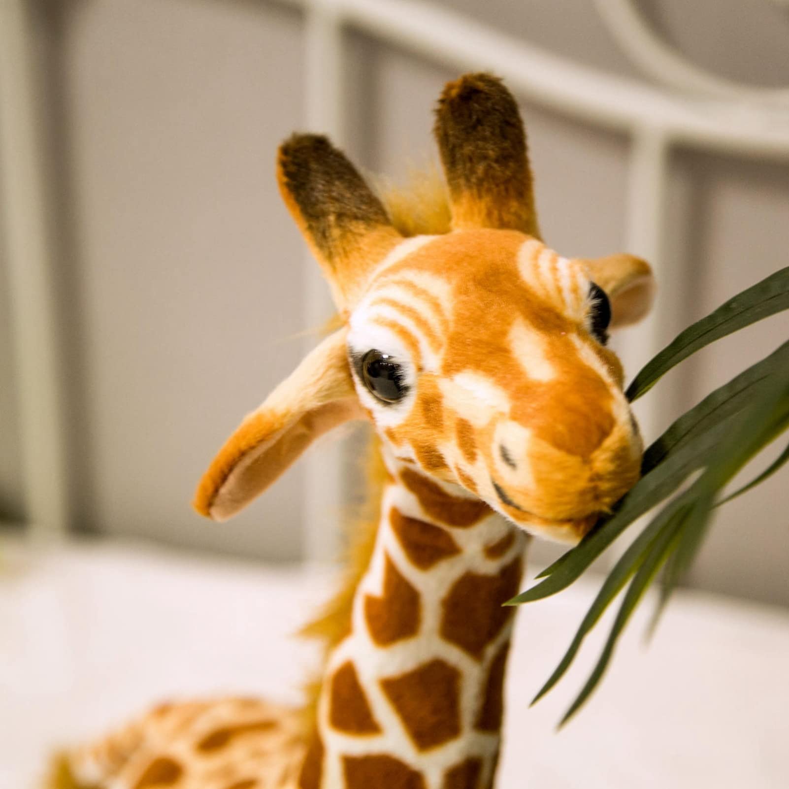 Amazon.co.jp: ぬいぐるみ リアル キリン 抱き枕 36cm おもちゃ